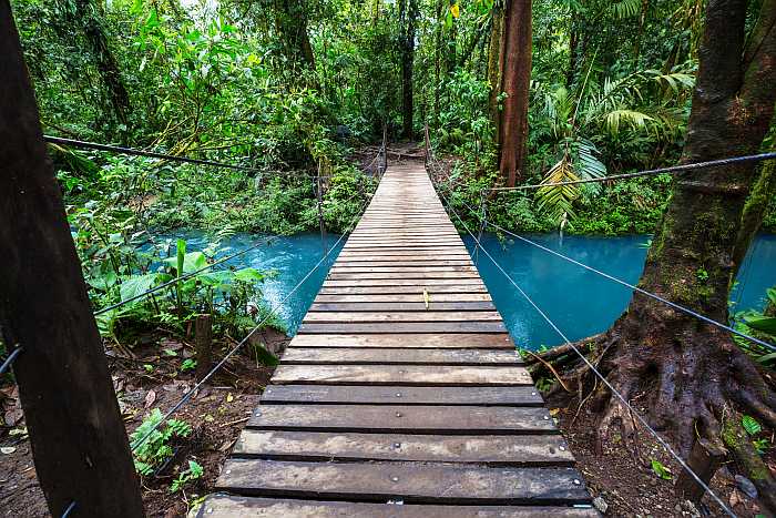 Suspension bridge in the jungle in Costa Rica