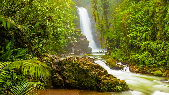 Waterfall in the jungle in Costa Rica 