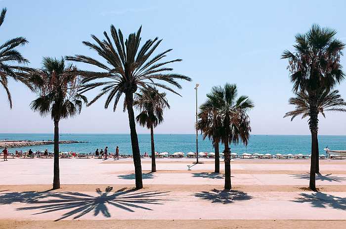 La Barcelonata Beach (Photo by Lucrezia Carnelos on Unsplash)
