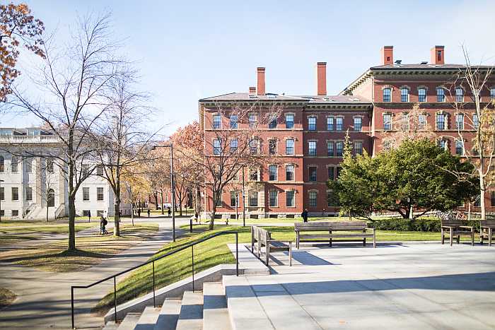 Harvard University Campus (Photo: Envato)