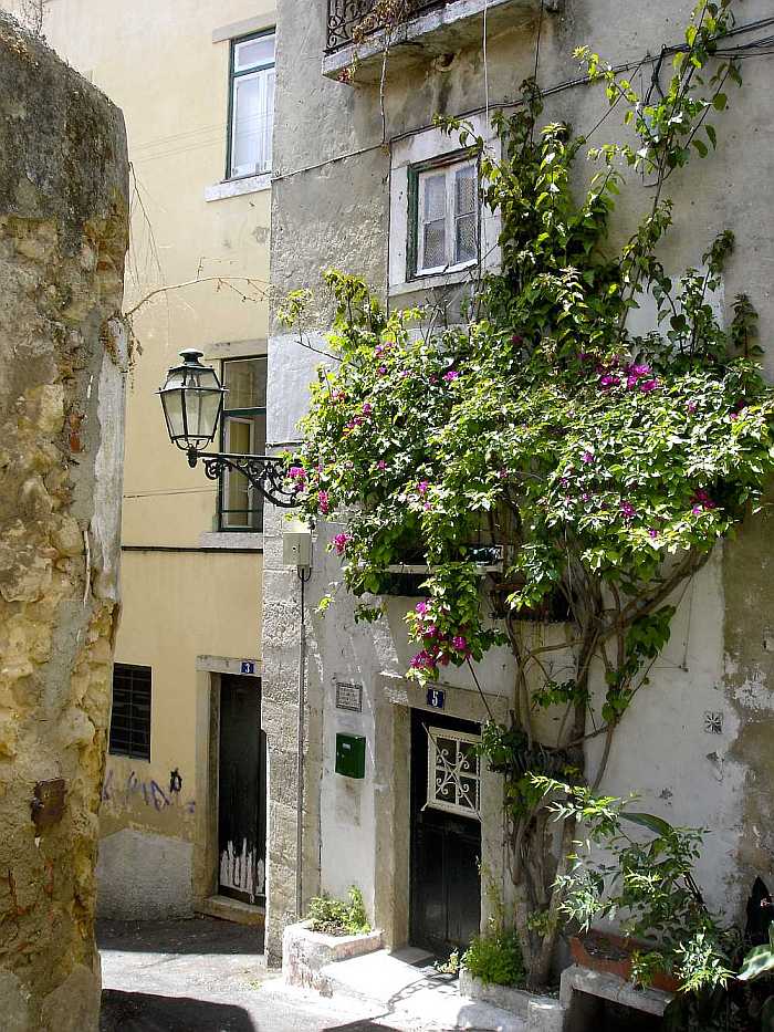 Old Alfama quarter of Lisbon's historic center (Photo: Lisbon Explorer Tours)