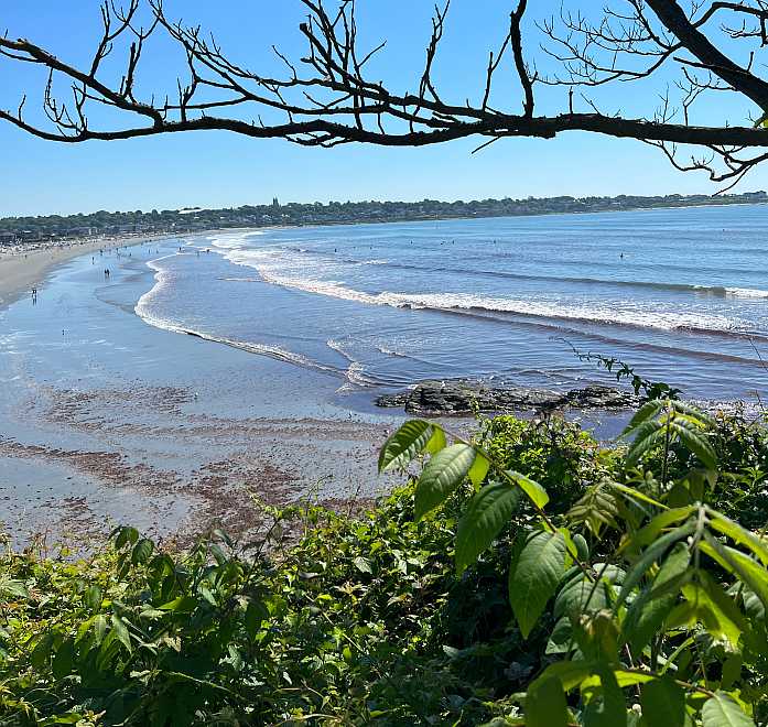 Newport (Photo: Courtney Pickens on Unsplash)