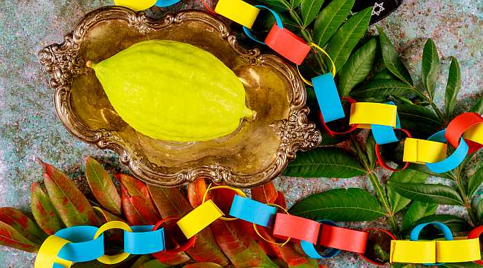 Guide to Sukkot programs