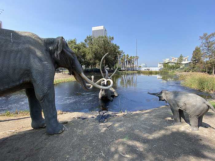 La Brea Tar Pits (Photo: Envato)