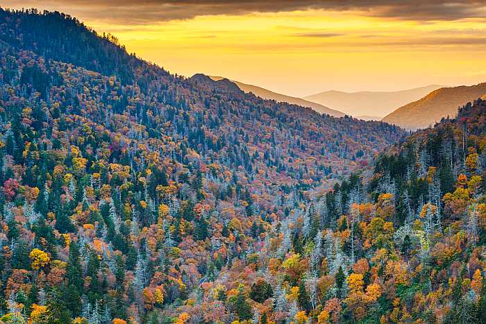 Great Smoky Mountains National Park (Photo: Envato)