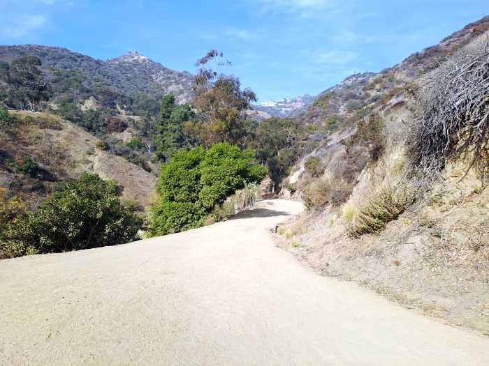 Kosher vacation in Los Angeles.