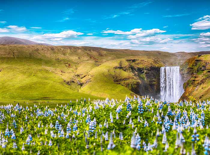 Kosher tours - Iceland in summer 