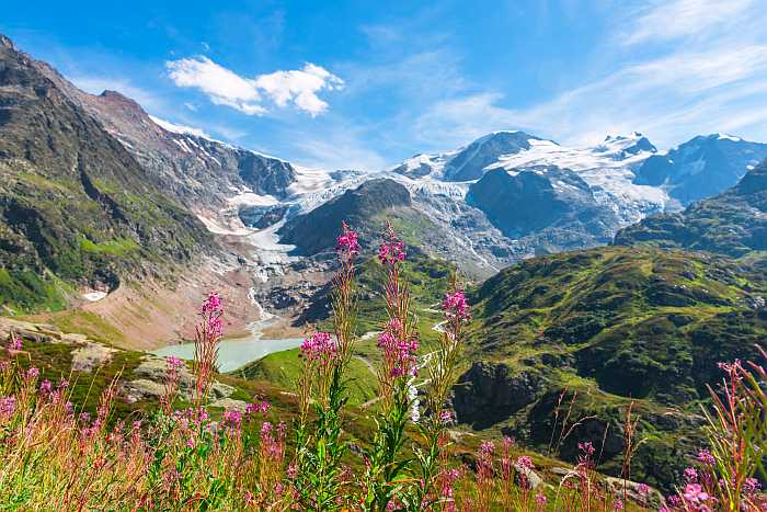 Cool weather kosher summer vacations - Swiss Alps.