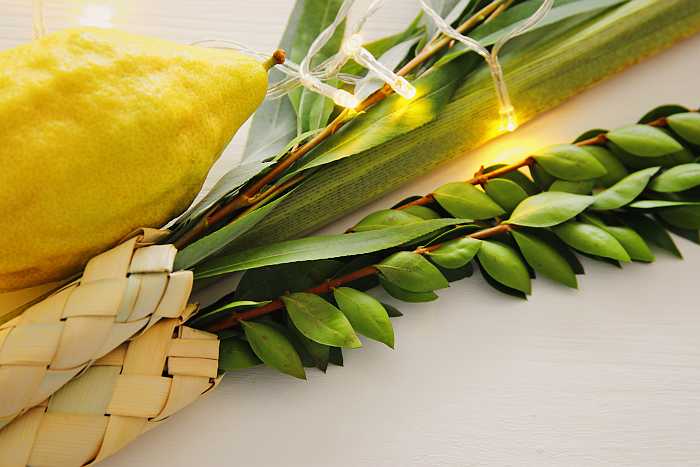 guide to Sukkot programs and vacations.