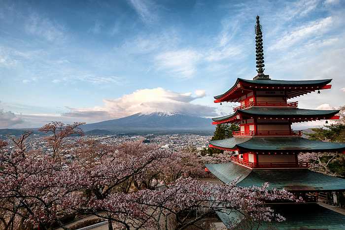 kosher tours of Japan