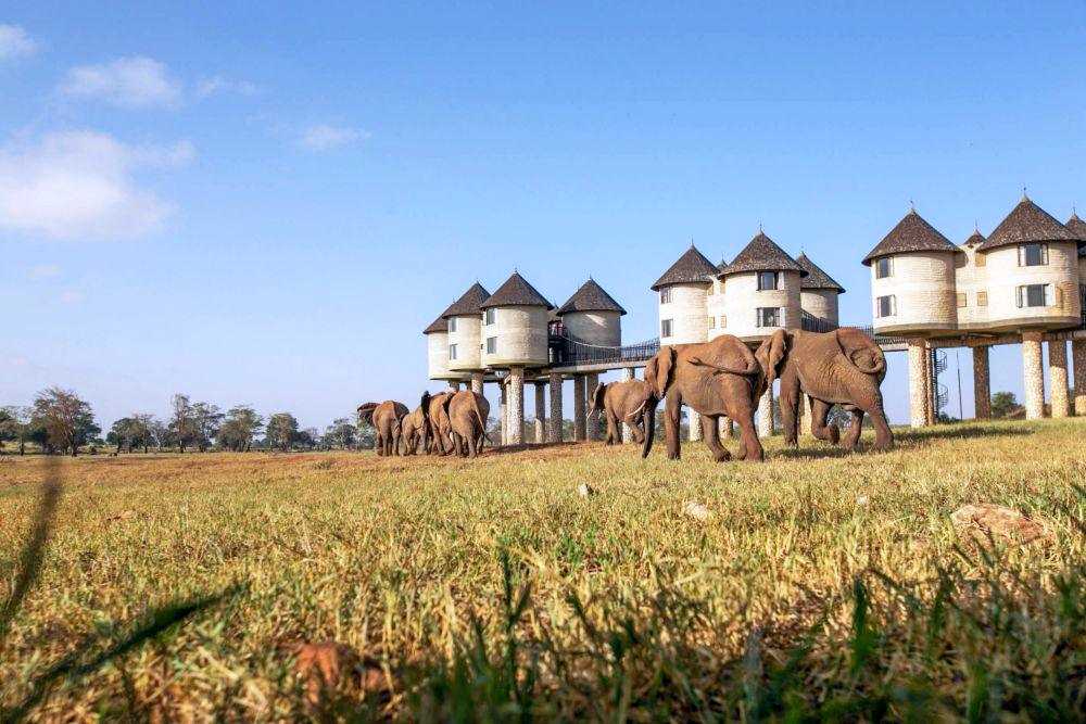 Feel Holiday Pesach Program Safari Experience 2026 In Kenya