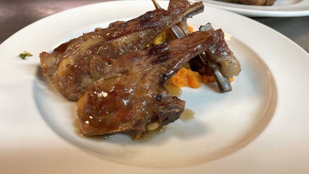 Passover Program in Paralia, Greece with Kangourou Prestige