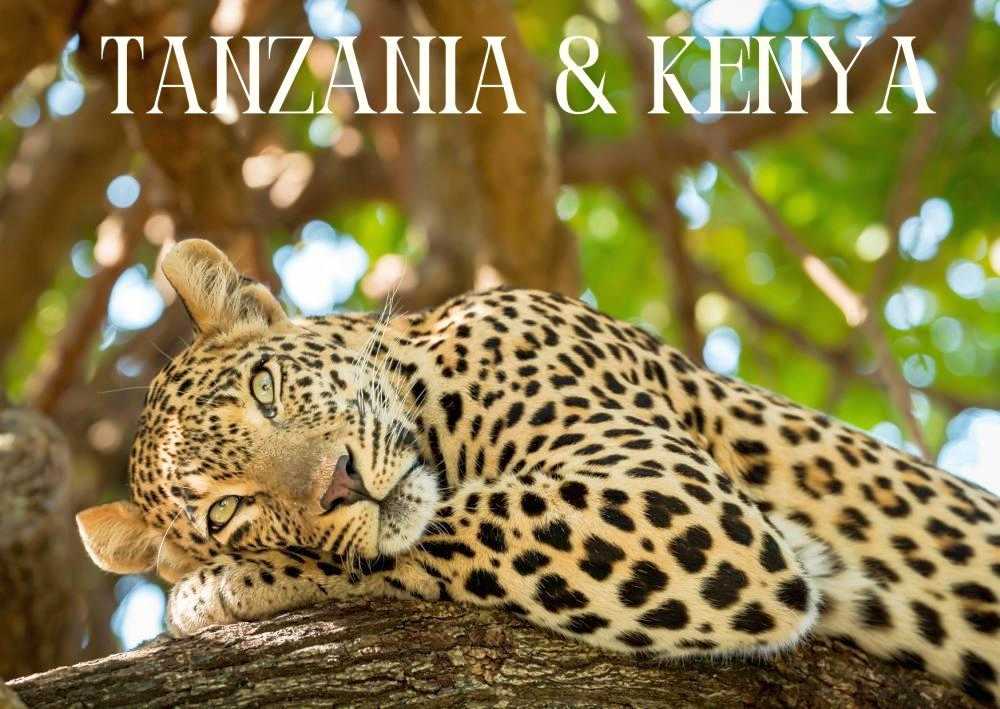 Custom Kosher Travel Itineraries