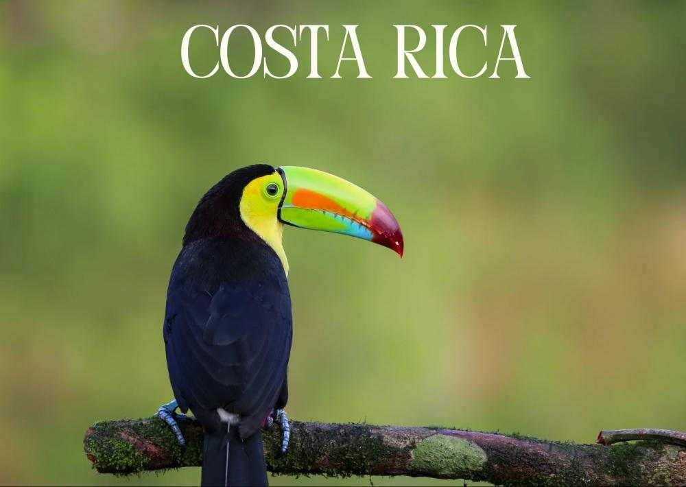 Custom Kosher Travel Itineraries