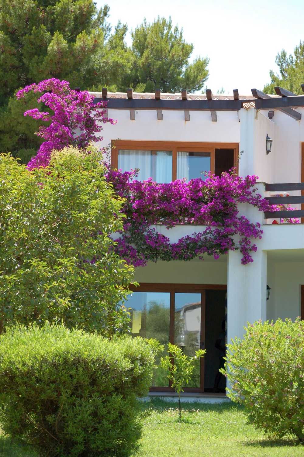 Celebrate Passover 2026 in Sardinia, Italy with D & S Prestige at the four-star Club Esse Palmasera.