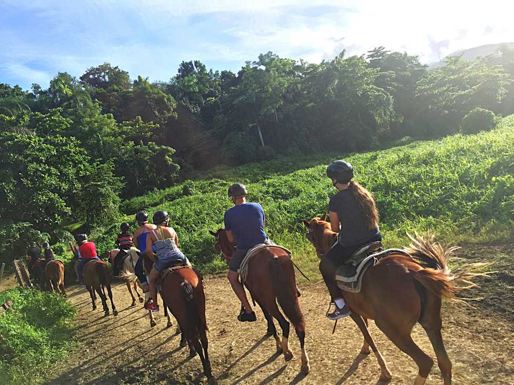 Celebrate Passover 2026 in Georgia at the Kass Land Diamond Resort near Tsalka.