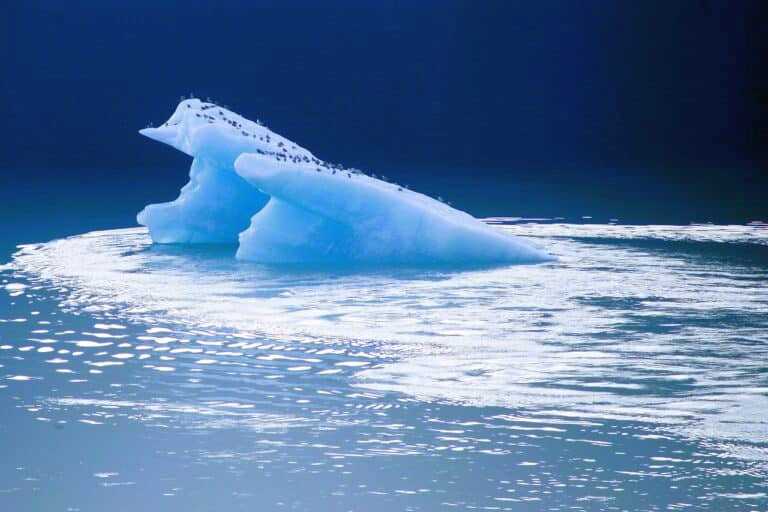 Lebor Tours Kosher Antarctica Cruise 2026–2027 