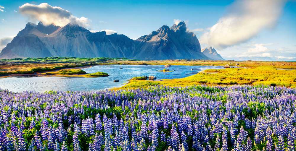 Kosher Iceland Vacation & Tour