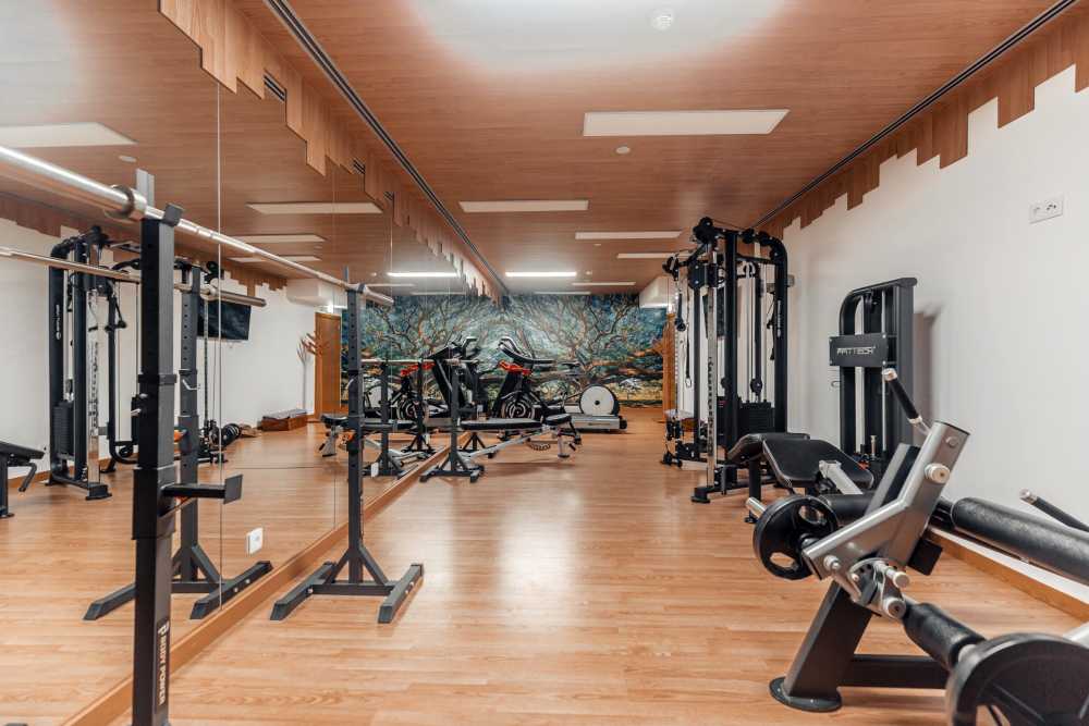 Travel through Portugal with Lebor Tours tracing Jewish and Anusim heritage from Lisbon to Porto.