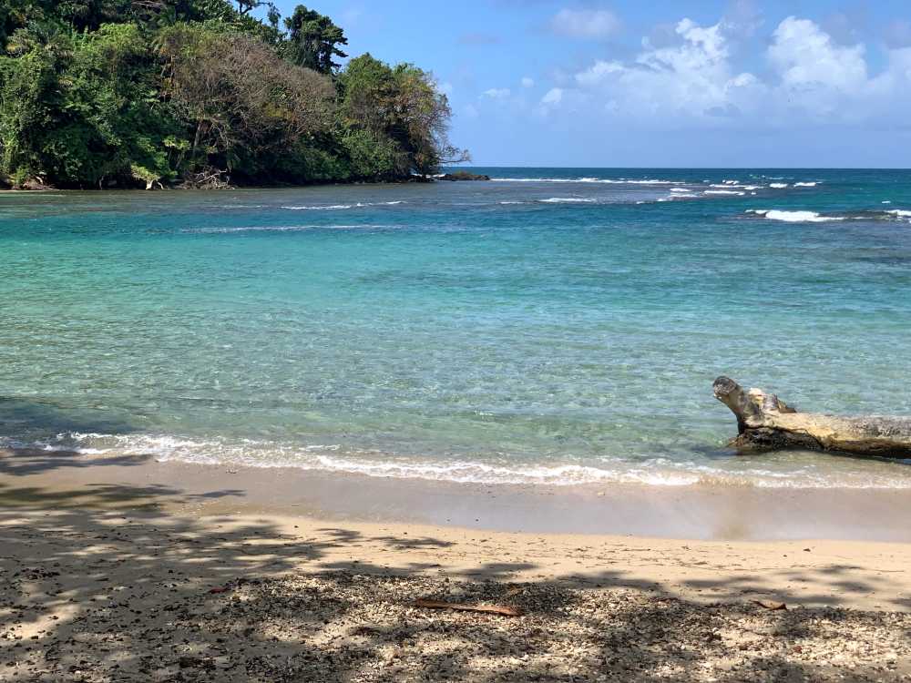 Discover Panama on a 5-day luxury kosher journey.