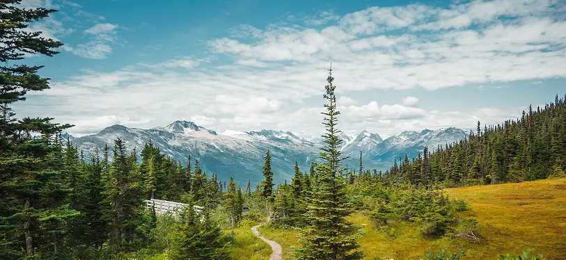 Sail through Alaska this summer with Golden Tours Kosher Cruises.