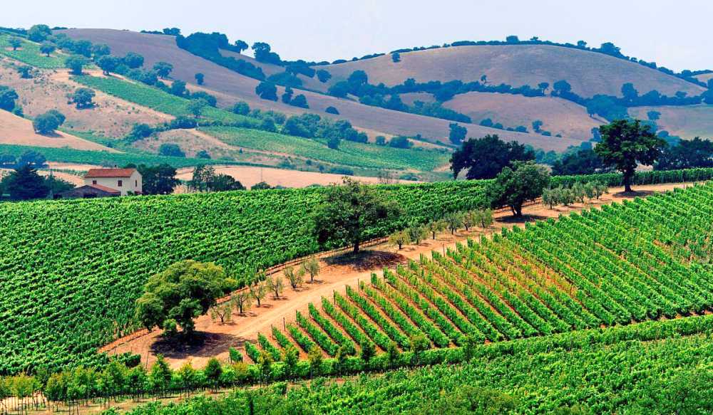 Celebrate Passover 2026 in Italy with Arie Galitzky at Hotel Terme Marine Leopoldo II Terme & Spa