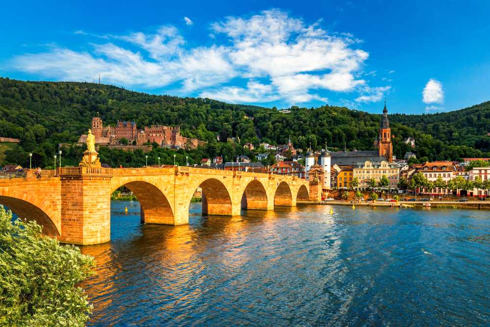 Kosher river cruise along the Rhine River with castles and vineyards