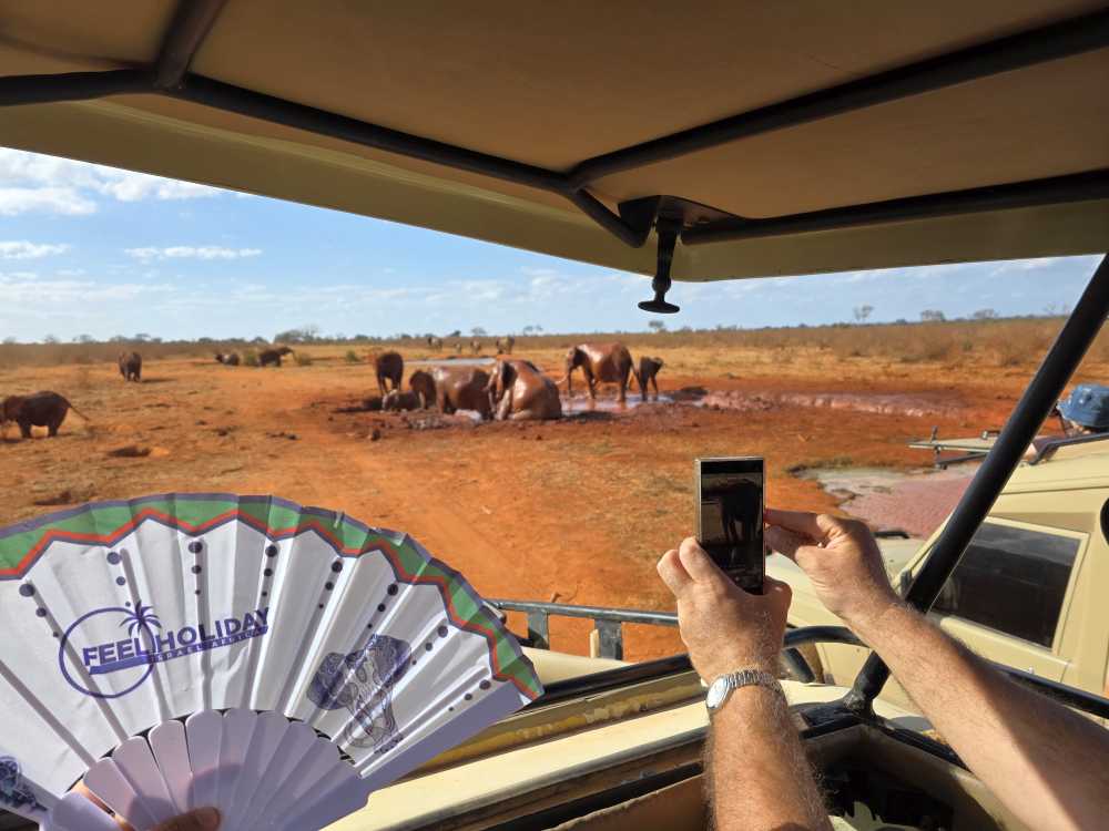 Join a kosher Kenya safari for the Great Migration 2026 with Feel Holiday.