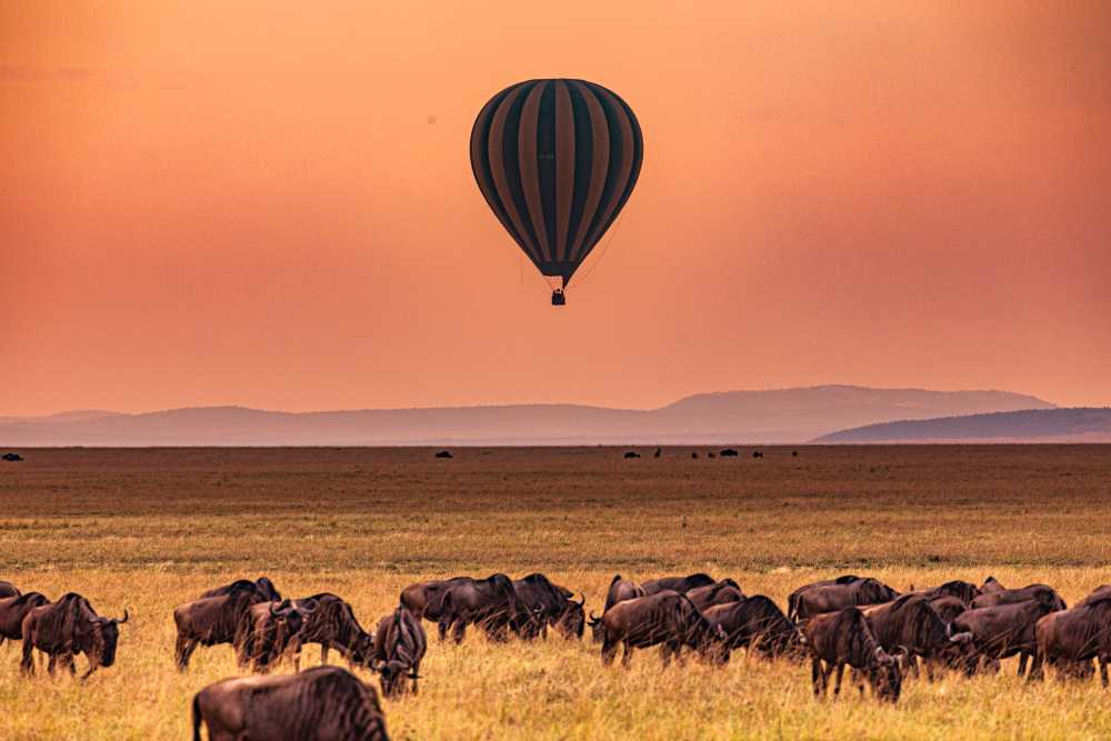 Join a kosher Kenya safari for the Great Migration 2026 with Feel Holiday.