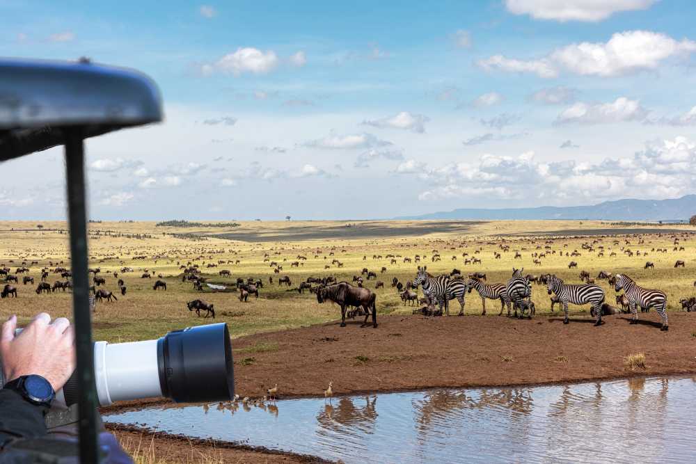 Join a kosher Kenya safari for the Great Migration 2026 with Feel Holiday.