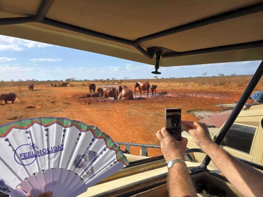 Join Feel Holiday for Summer Safari Experience in Kenya 2026.