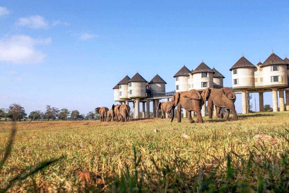 Join Feel Holiday for Summer Safari Experience in Kenya 2026.