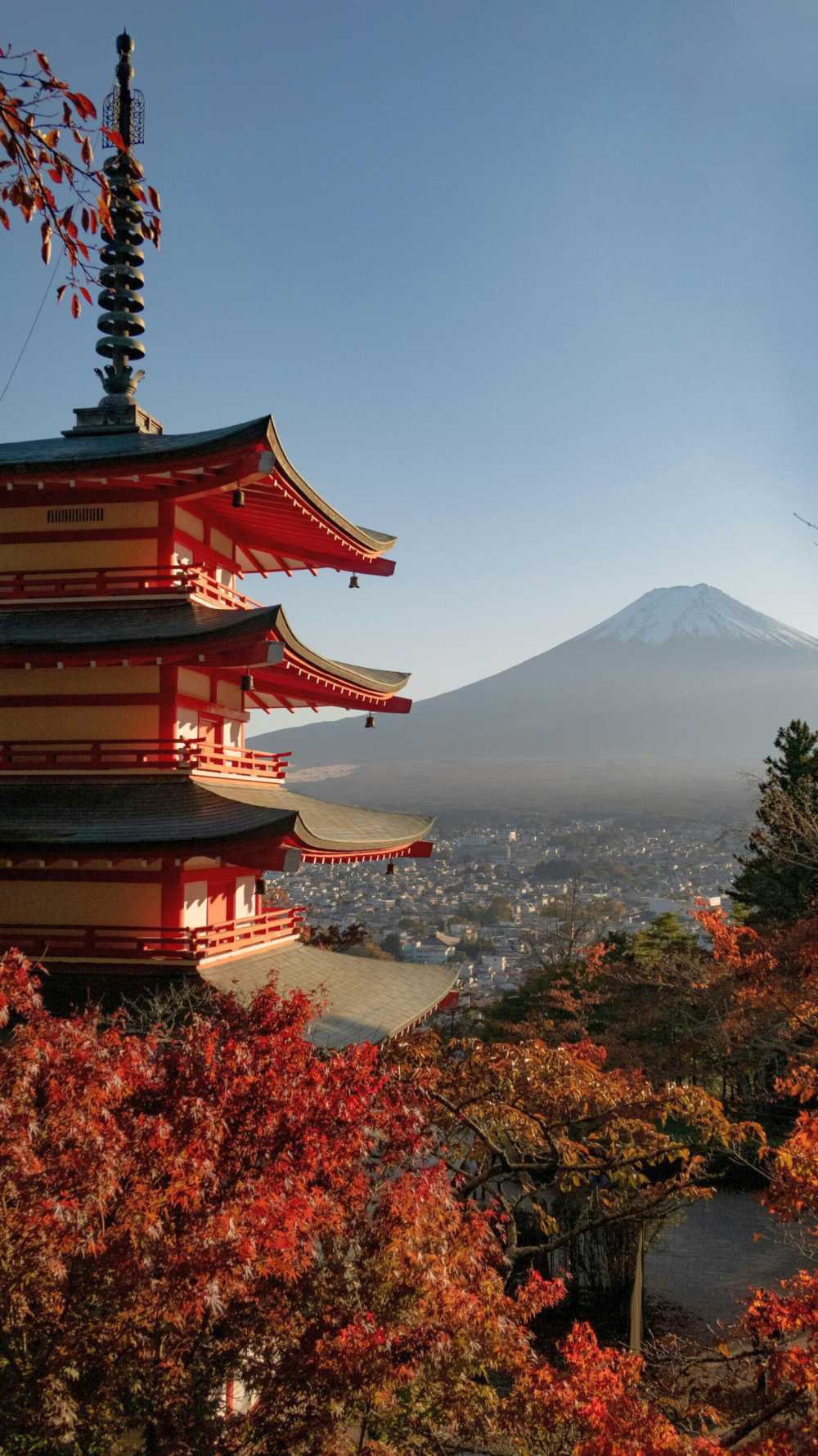 Kosher East Asia Cruise 2026: Japan, South Korea & China