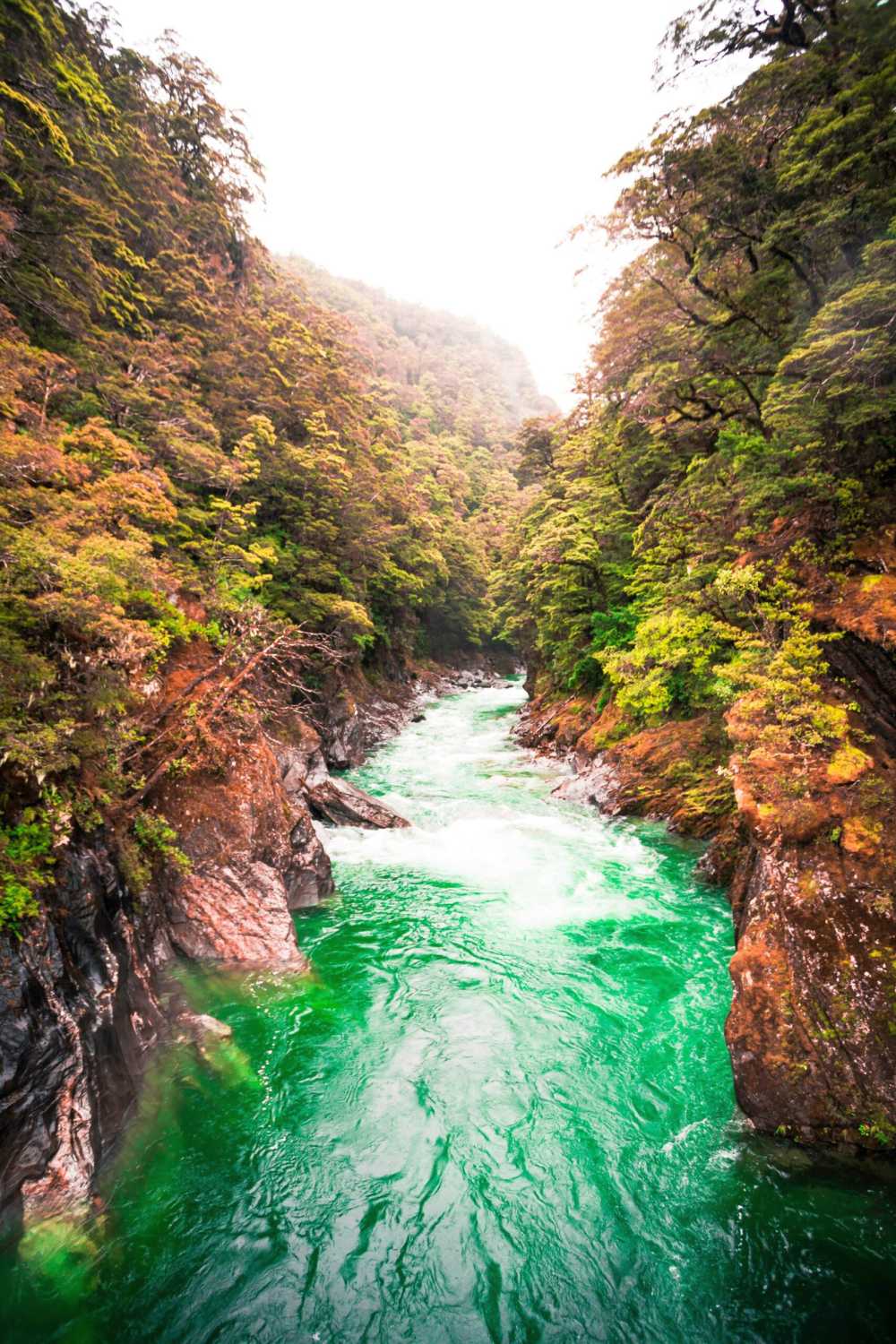 Join a 15-day Glatt Kosher cruise exploring Australia, New Zealand, and Tasmania