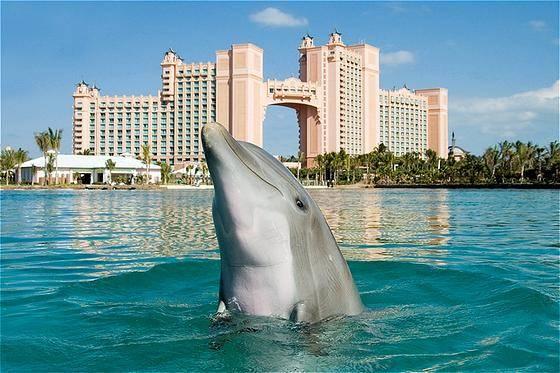 Passover Programs 2026 with Kosherica