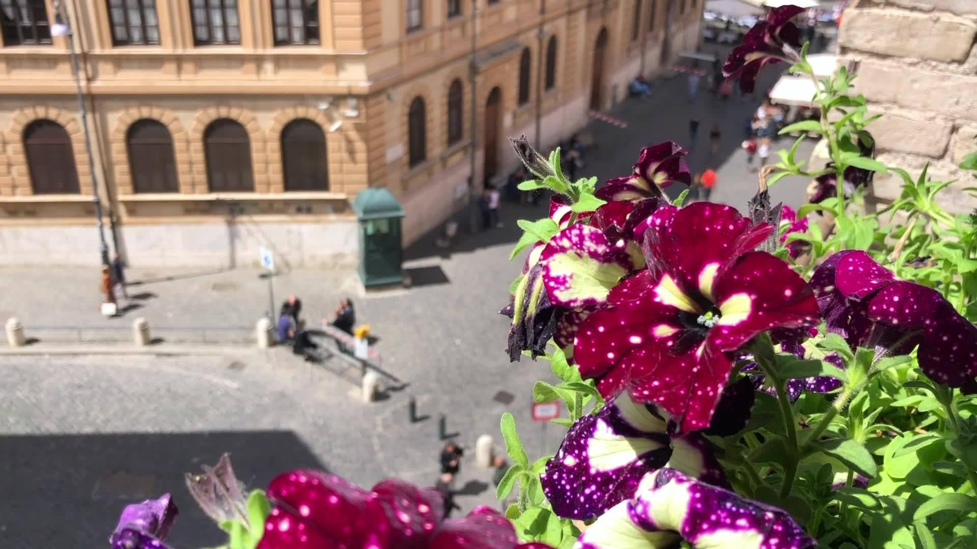 Kosher vacation -kosher hotel in Rome