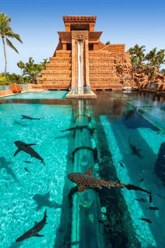 Passover Program 2026 at the Atlantis Resort & Spa in the Bahamas