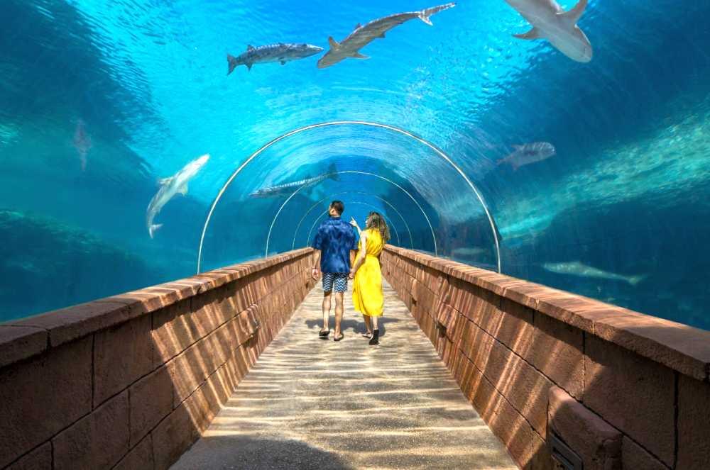 Passover Program 2026 at the Atlantis Resort & Spa in the Bahamas