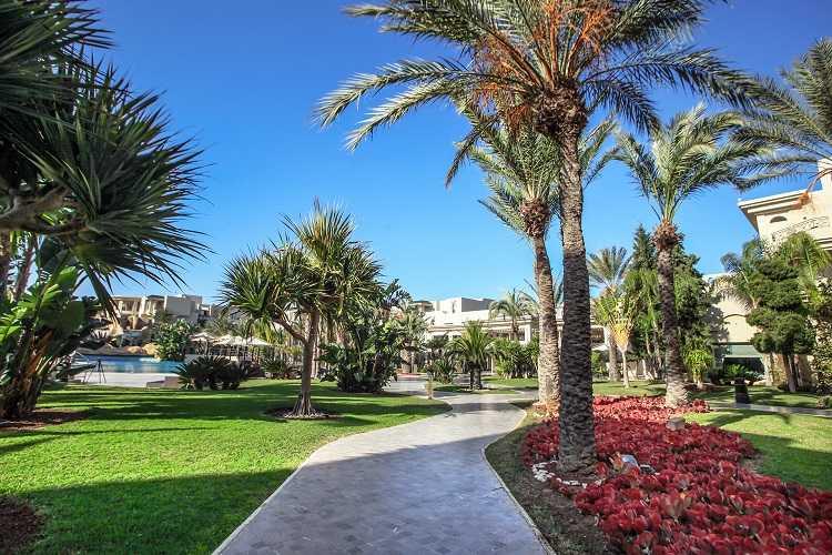 Sukkot 2021 Luxury Vacation in Tunisia