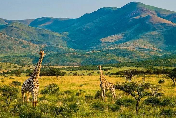 Pesach Program 2022 in South Africa