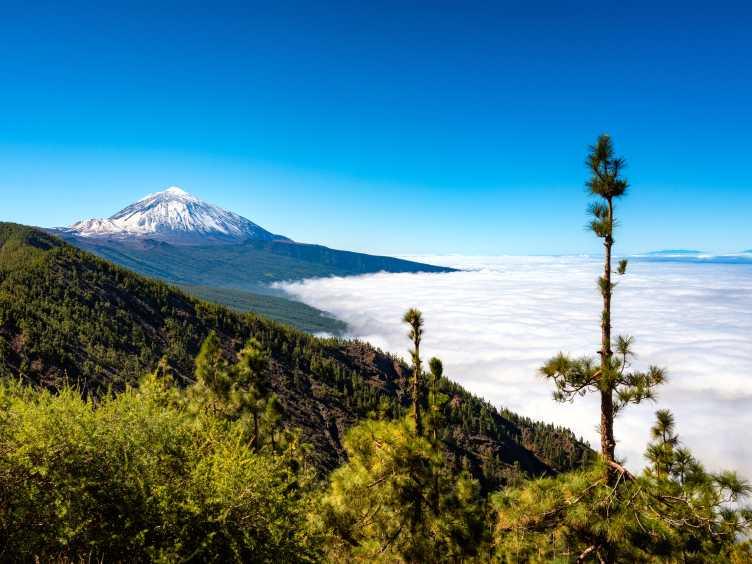 Canary Islands Kosher Cruise Fall 2025 with Golden Tours