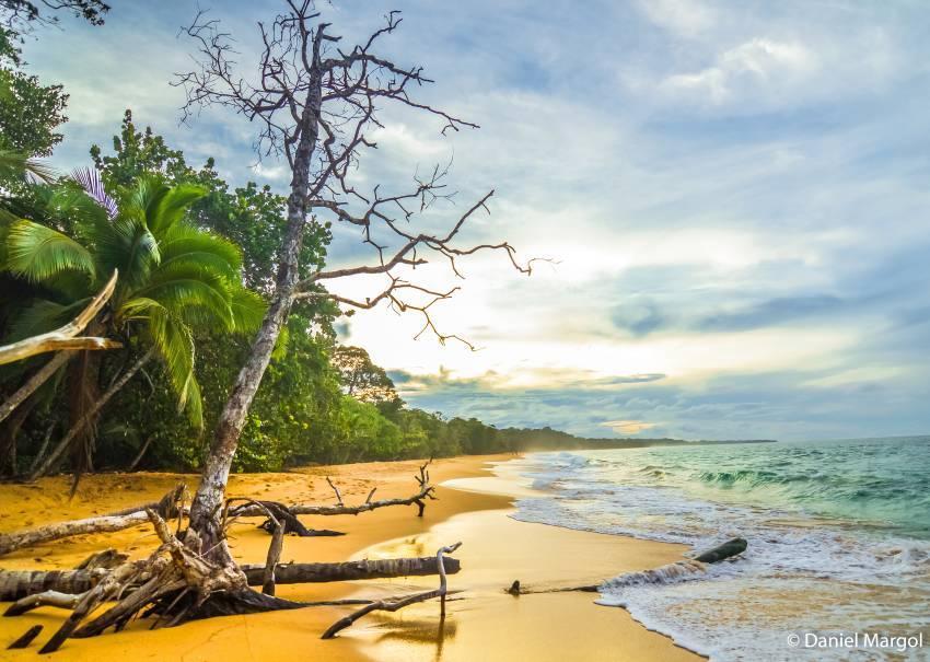 Shavuot Program 2025 Bocas Del Toro, Panama