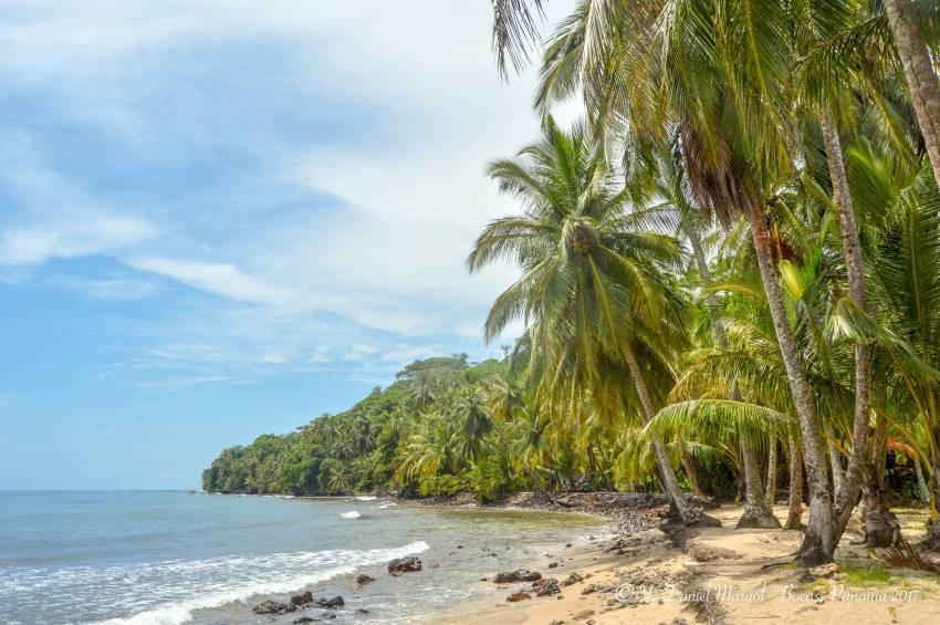 Shavuot Program 2025 Bocas Del Toro, Panama