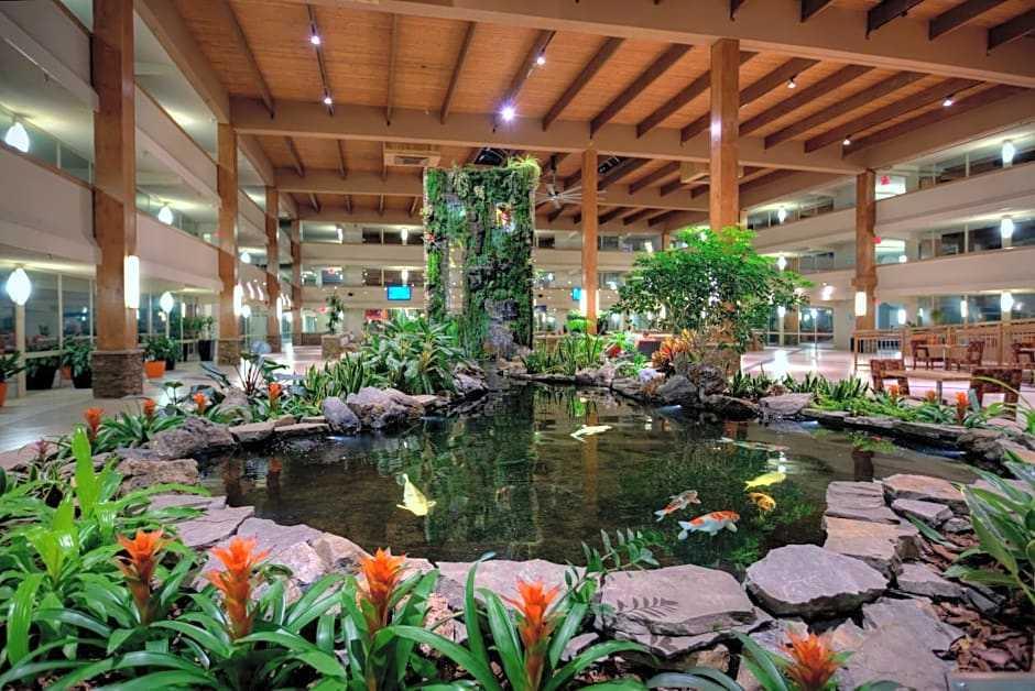 Celebrate Shavuos 2025 with Tomchei Shabbos at the Crowne Plaza Suffern