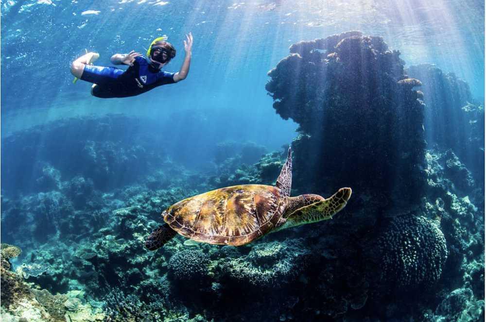 Kosher Travel Adventure: Hong Kong, Australia & New Zealand – Winter 2025