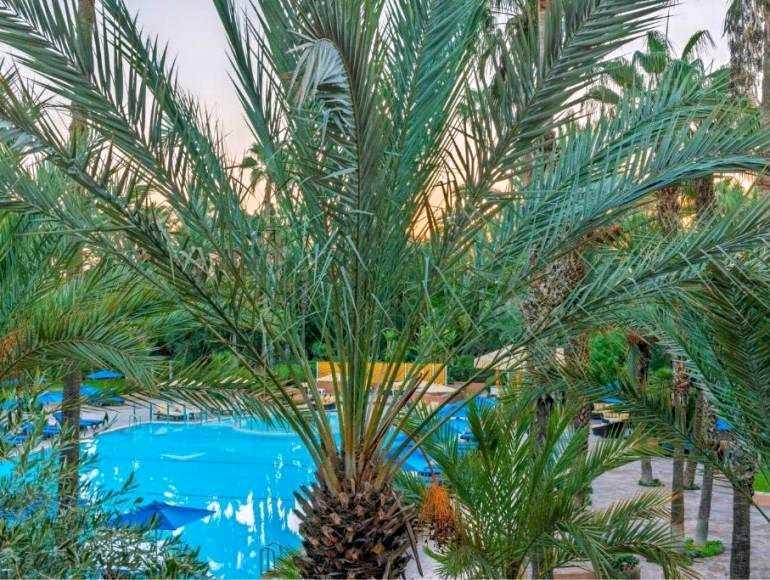 Pesach program at Le Méridien N'Fis in Marrakech