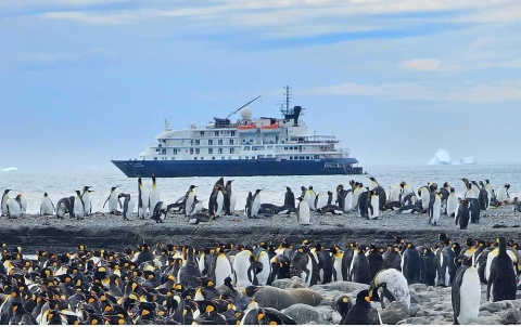 Kosher River CRuises Antarctic Expedition