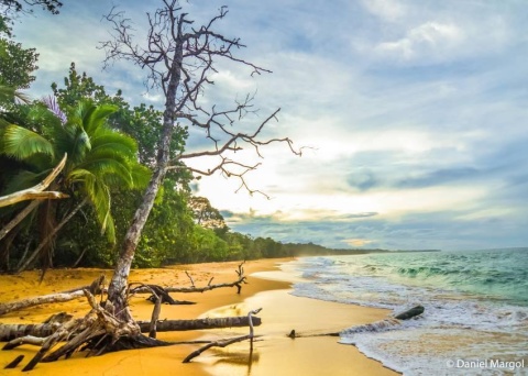 Shavuot Program 2025 Bocas Del Toro, Panama