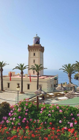 Discover the Magic of Morocco: Fez, Marrakech & Casablanca Await!