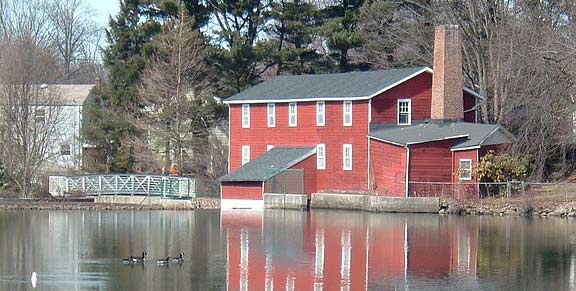 Squirrel 22~commonswiki